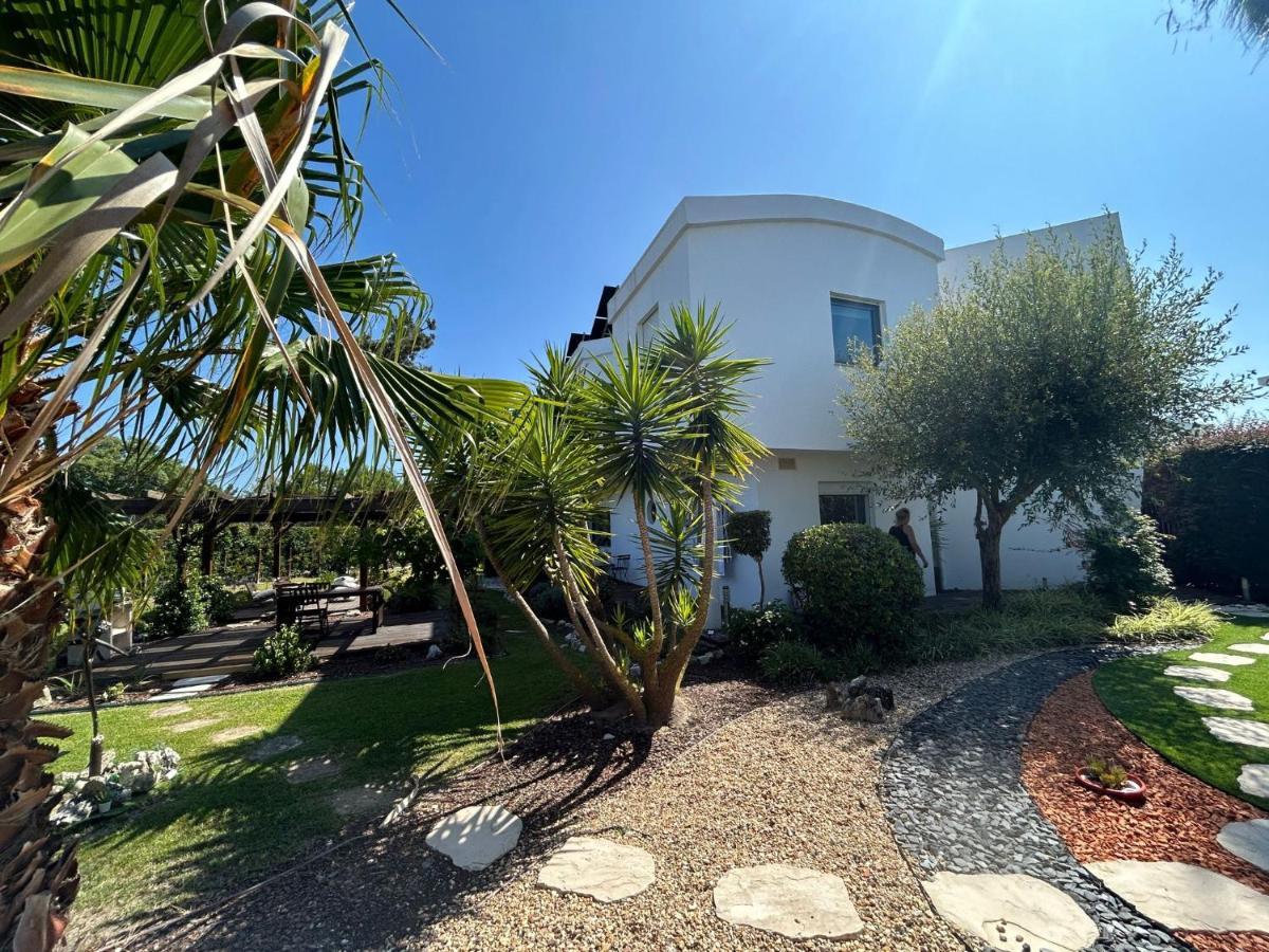 Villa De Lux With Pool Quinta do Anjo Luaran gambar