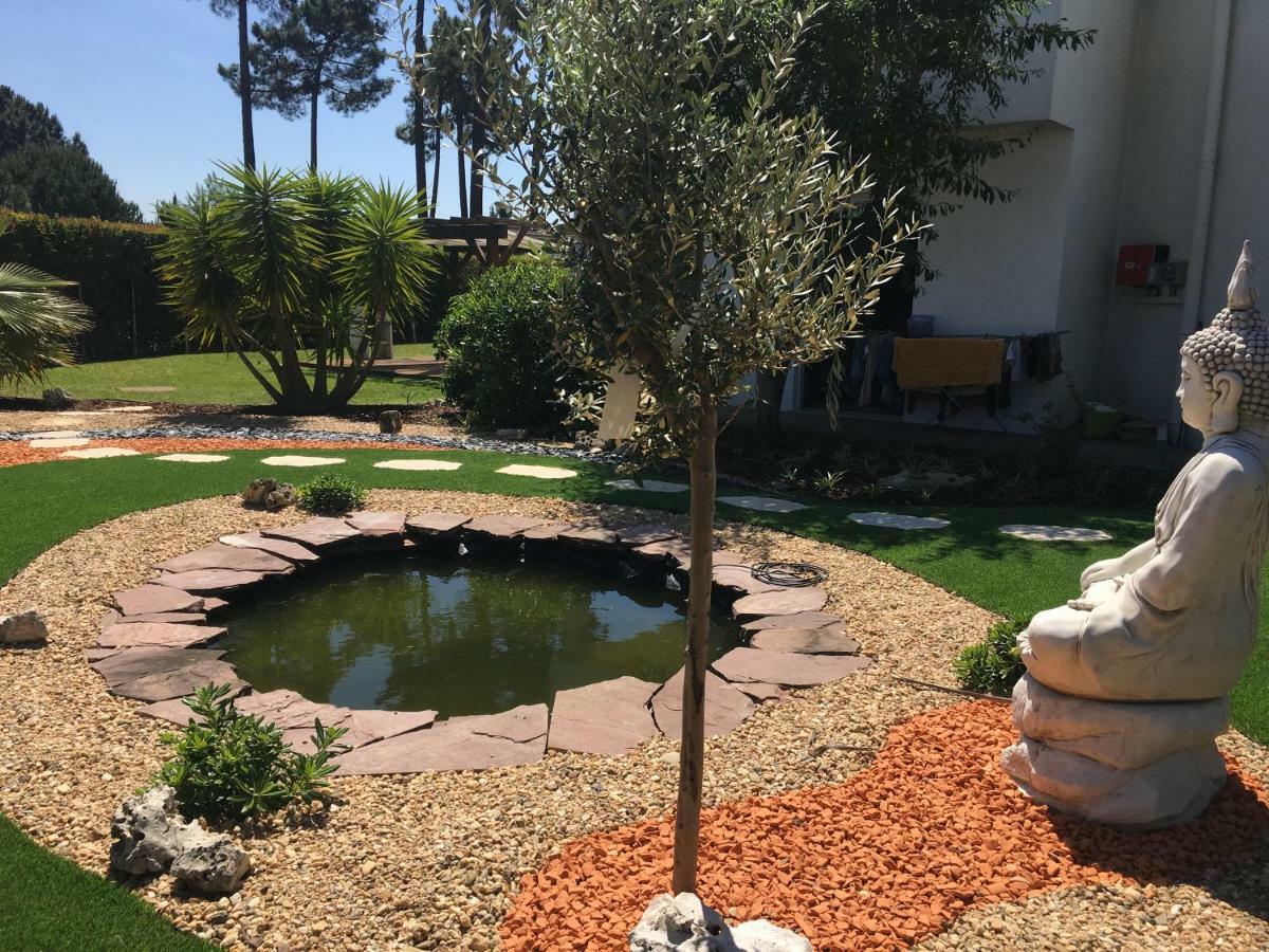 Villa De Lux With Pool Quinta do Anjo Luaran gambar